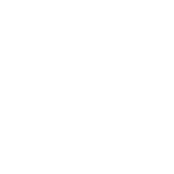 WordPress-logotype-wmark-white